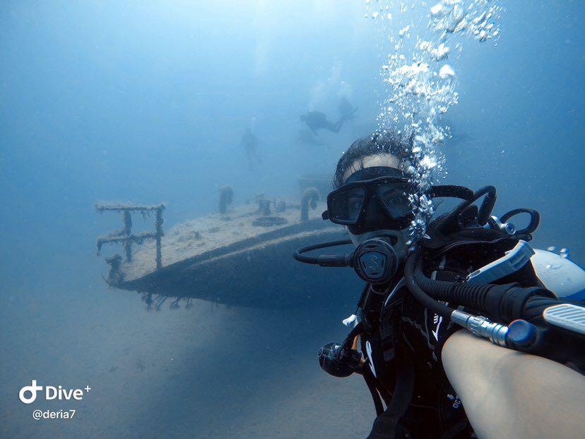 Dive+领路人的帖子