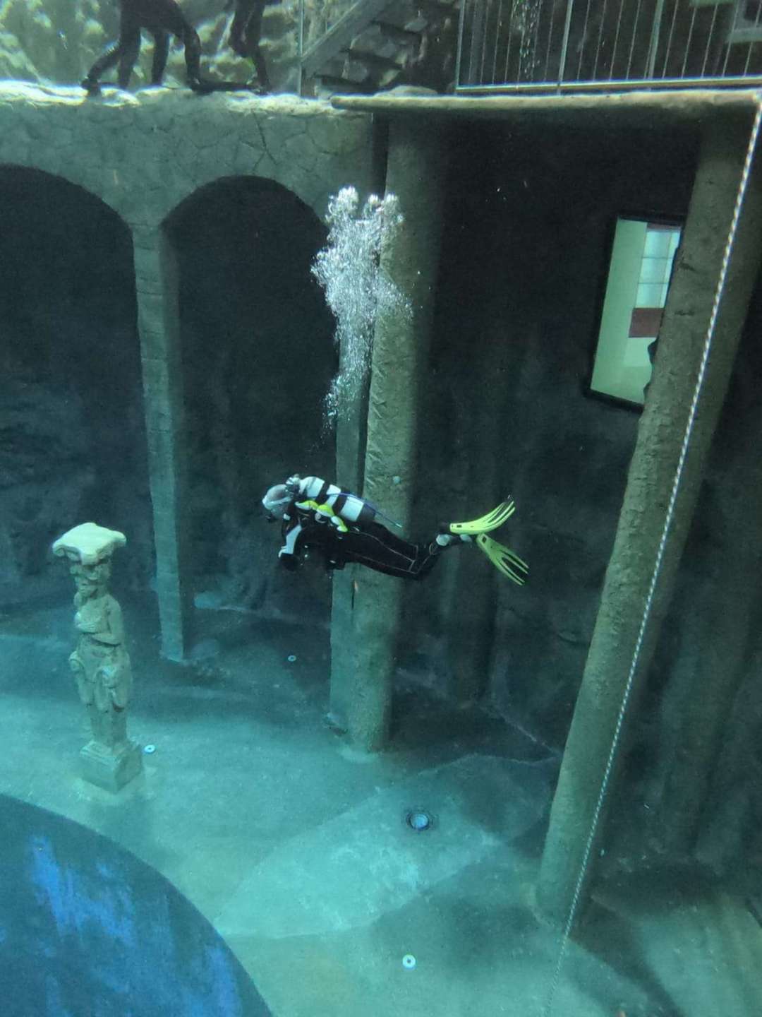 Dive+领路人的帖子