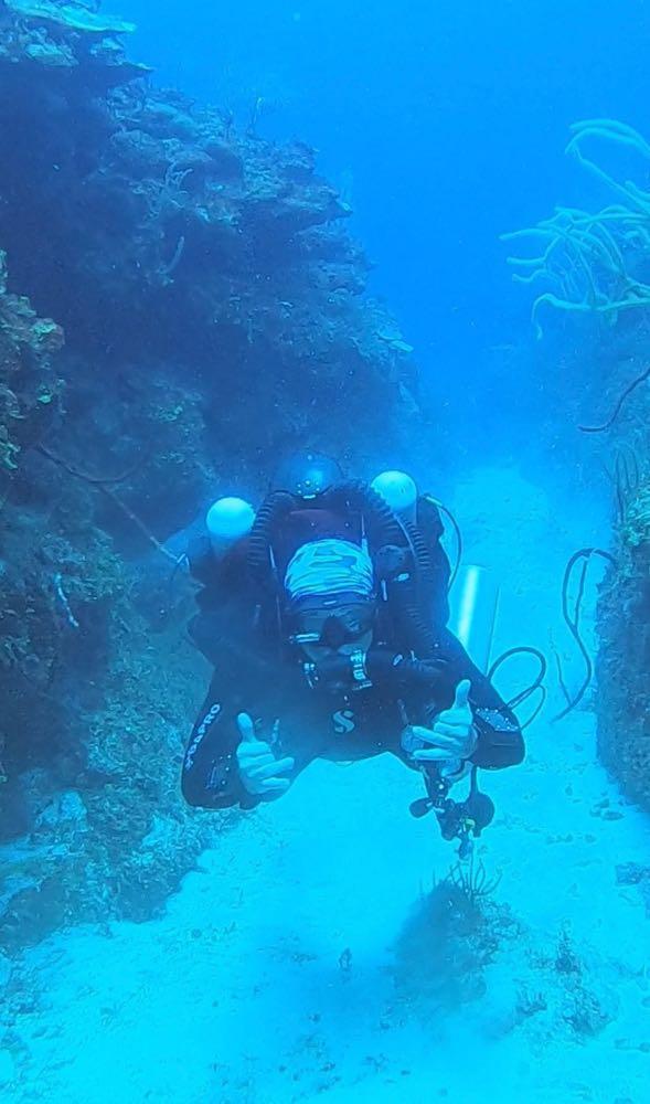 Dive+领路人的帖子