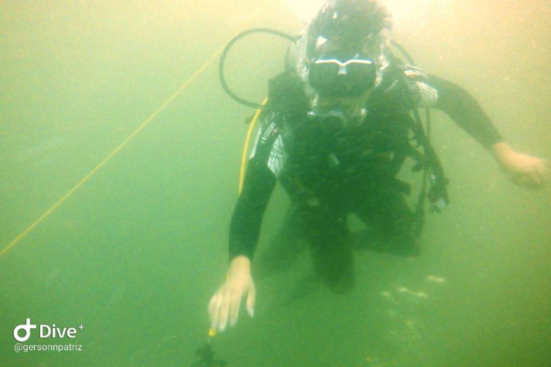 Dive+领路人的帖子