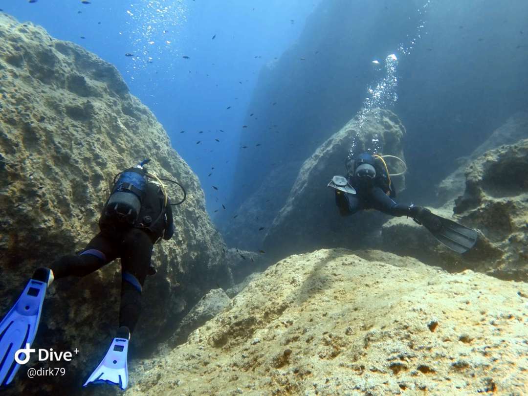 Dive+领路人的帖子