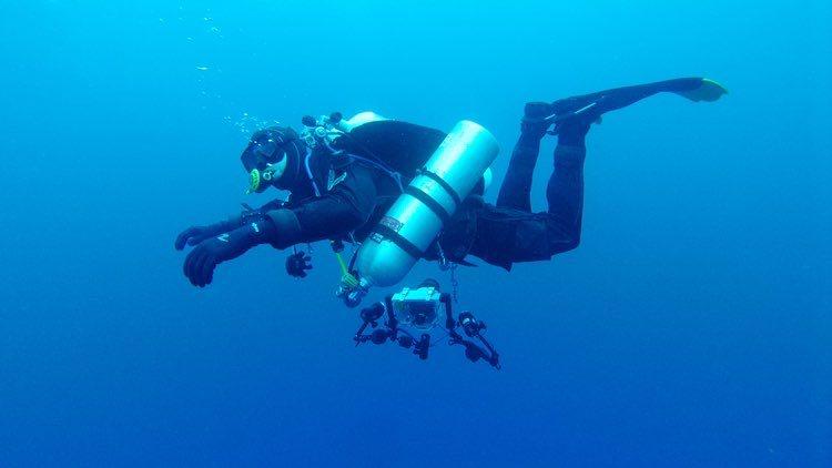 Dive+领路人的帖子