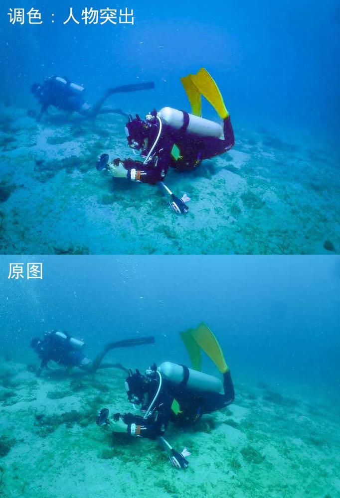 Dive+ Post Selection