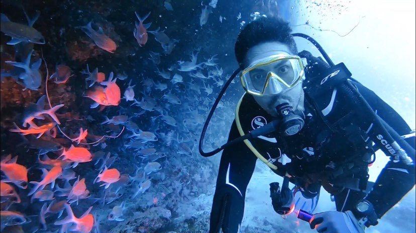 Dive+领路人的帖子