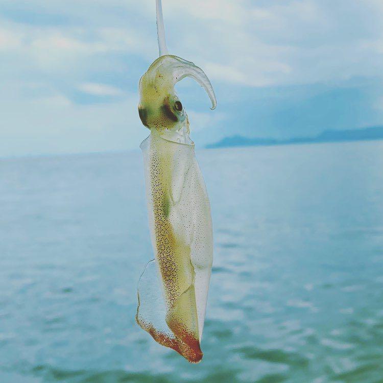Dive+领路人的帖子