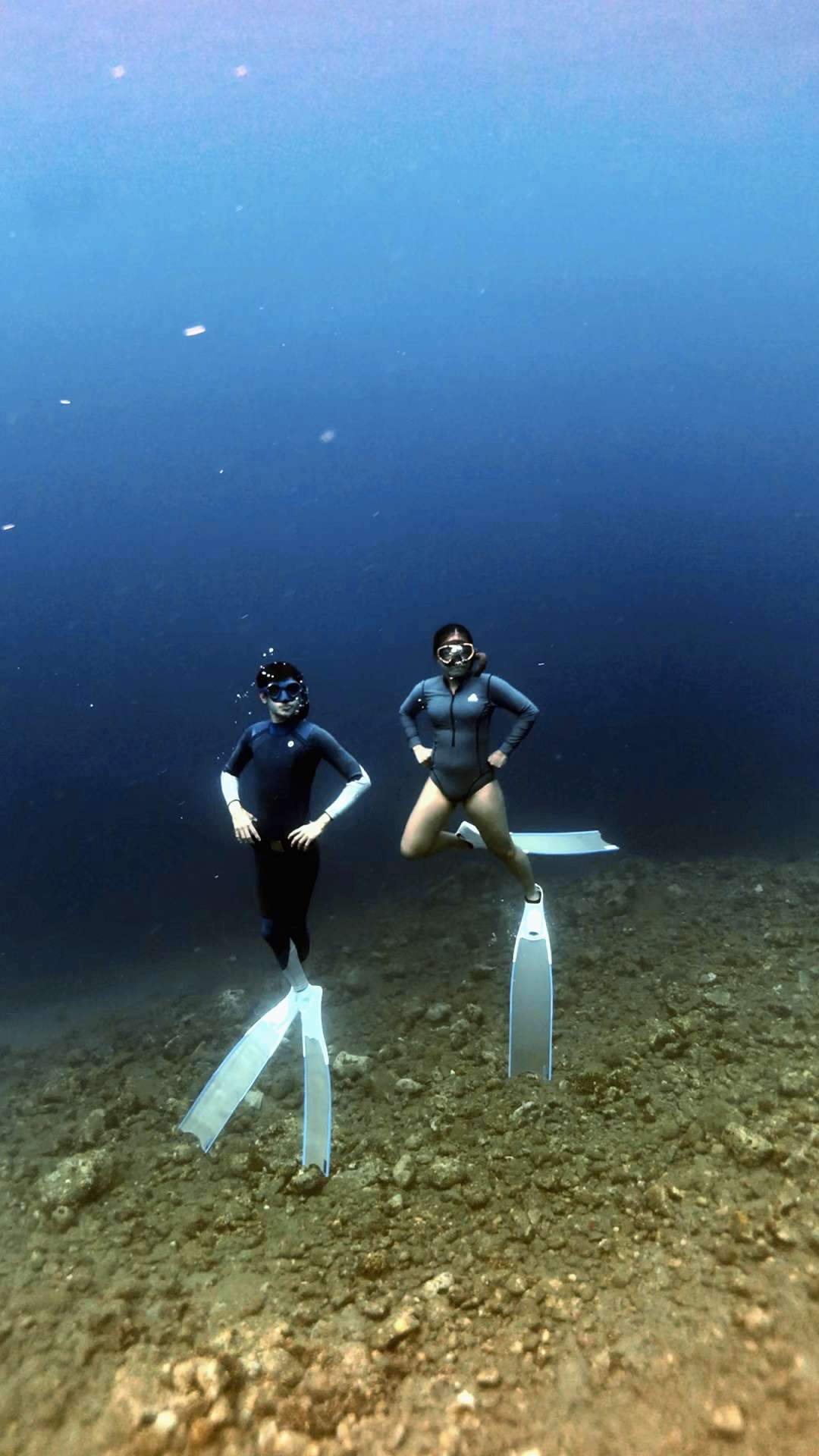 Dive+领路人的帖子