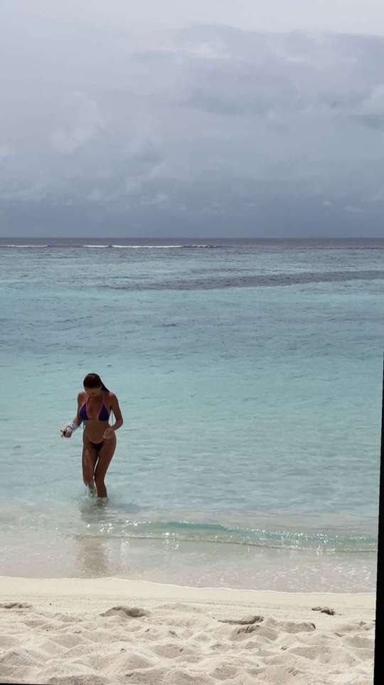 Dive+社區(qū)熱門(mén)作者