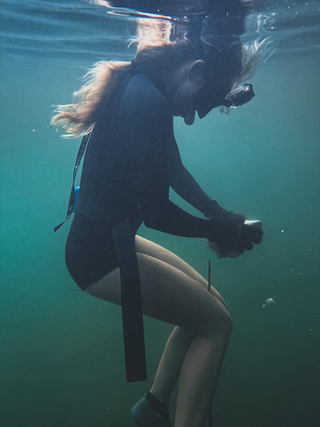 Dive+ Post Selection