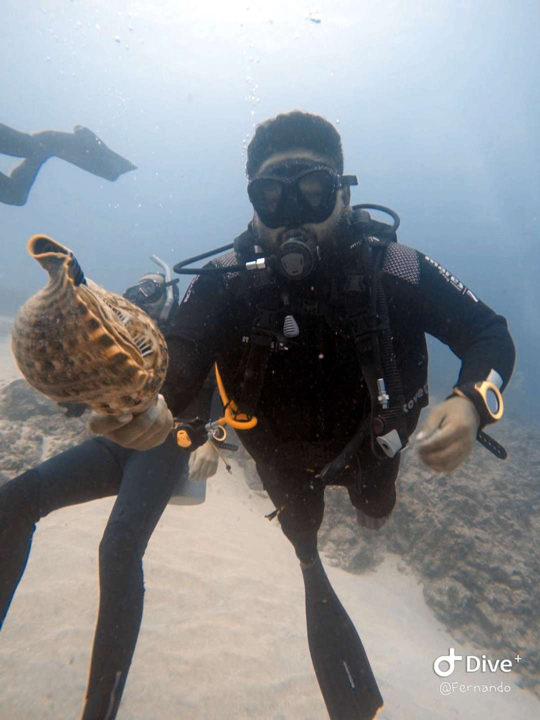 Dive+领路人的帖子