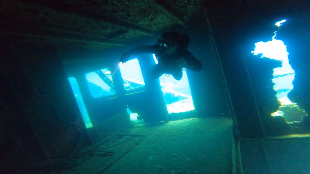 Dive+领路人的帖子